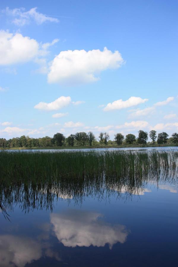 Vakantiehuis Appelvink, Toplocatie In Bosrijke Omgeving Oisterwijk Bagian luar foto