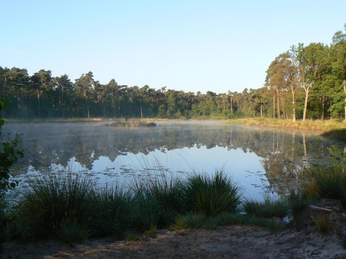 Vakantiehuis Appelvink, Toplocatie In Bosrijke Omgeving Oisterwijk Bagian luar foto